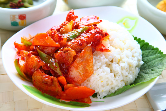 豬肉蓋飯