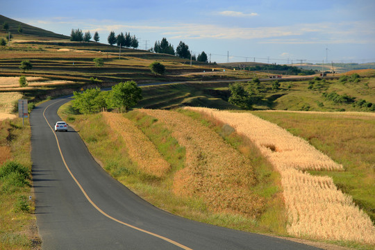 草原天路