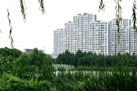 住宅樓
