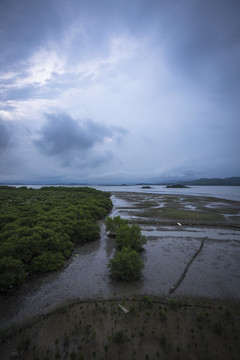 白沙村