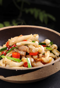 缽仔菌王