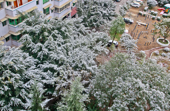 小區(qū)里的積雪