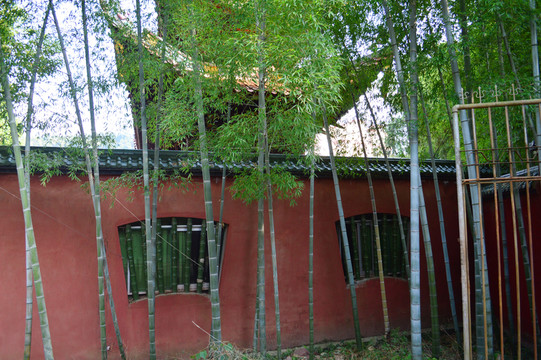 寺廟竹子