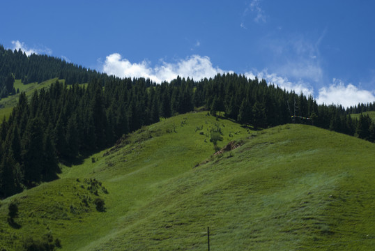天山林場(chǎng)