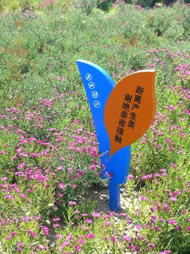 綠化提示牌