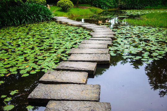 蓮塘步道
