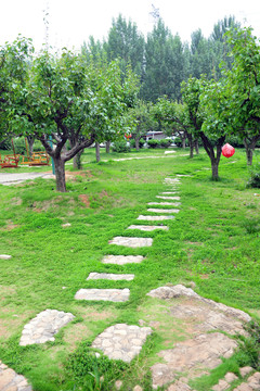石板路  公園風(fēng)景
