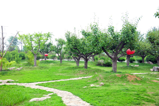 公園風(fēng)景 園林綠化
