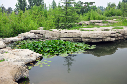 水塘  水池