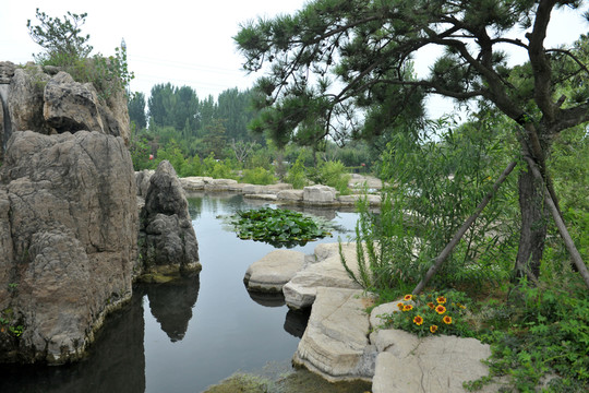水池  水塘