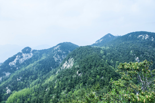 大山風(fēng)景