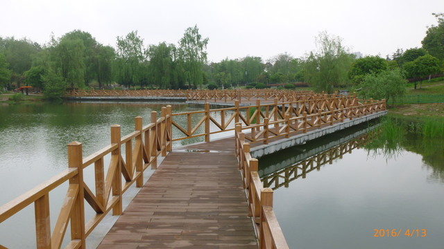 濕地公園 橋