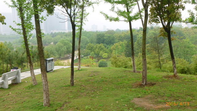 濕地美景
