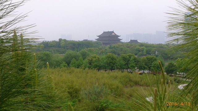 濕地美景