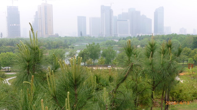 濕地美景