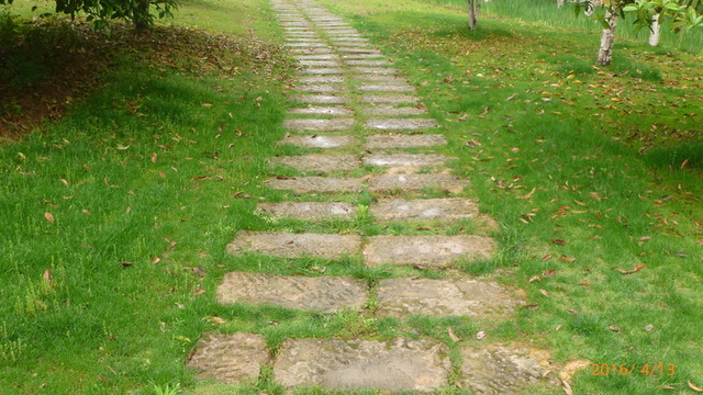 濕地公園石鋪路