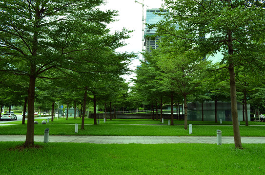 城市綠化