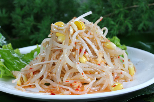 拌豆芽