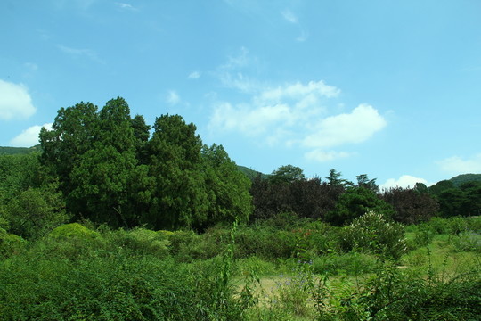 香山公園