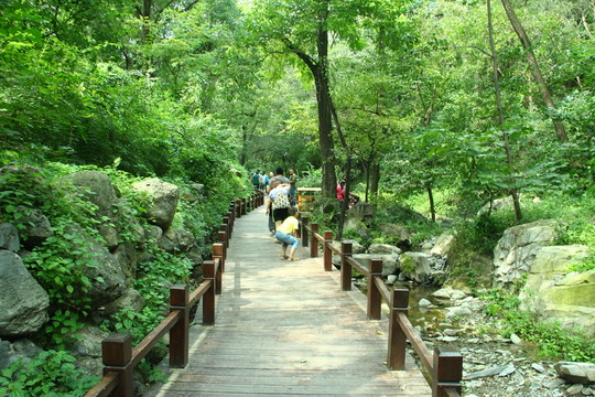 木橋