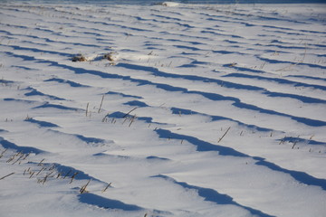 雪痕