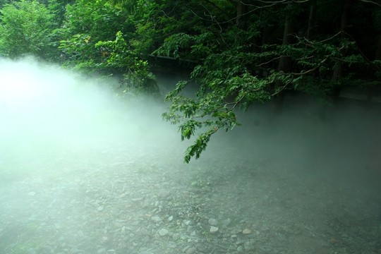 晨霧