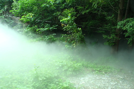 晨霧