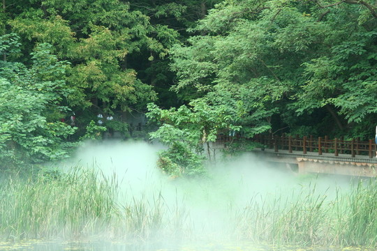 晨霧