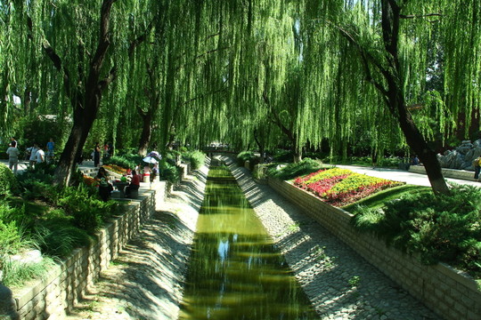 河道