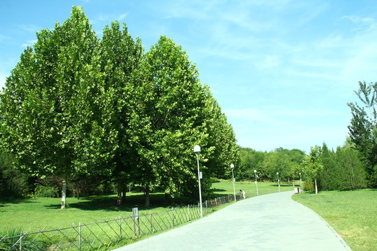 公園綠化