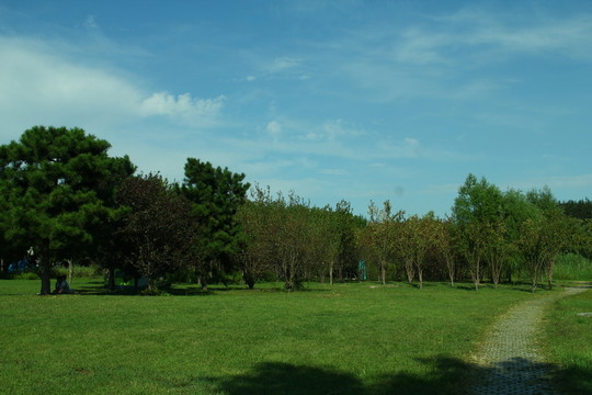 草地