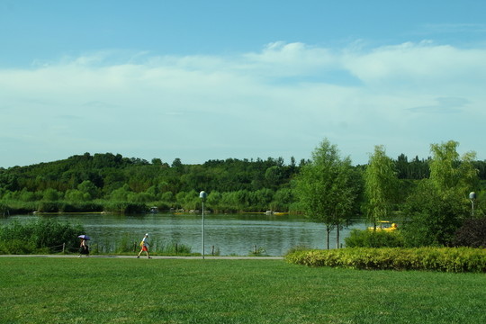 湖邊草地