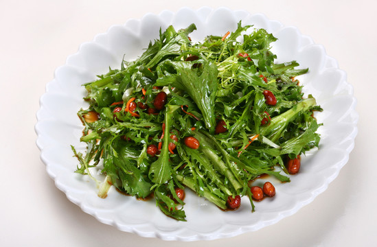 老醋苦菊