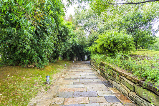 石板小路