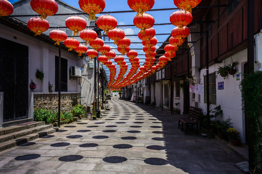 東沙鎮(zhèn)風(fēng)光