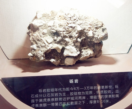 礫巖標本