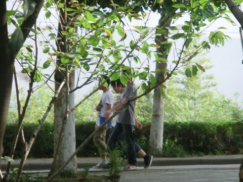 大學(xué)校園里的學(xué)生