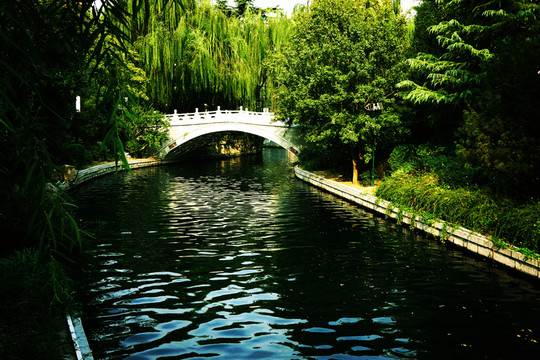 大明湖一角