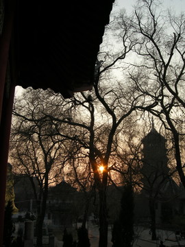 極樂(lè)寺