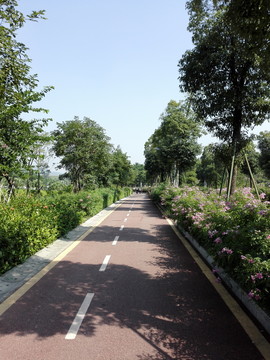深圳水庫東湖東園湖光十色綠道
