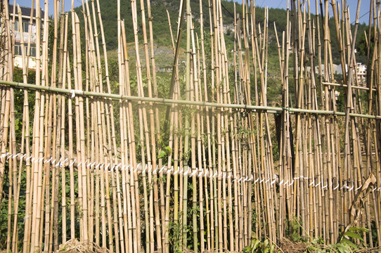 竹子圍欄