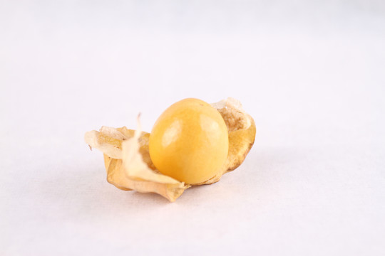 燈籠果