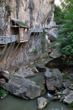 西峽踐道