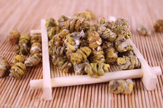 鐵皮石斛