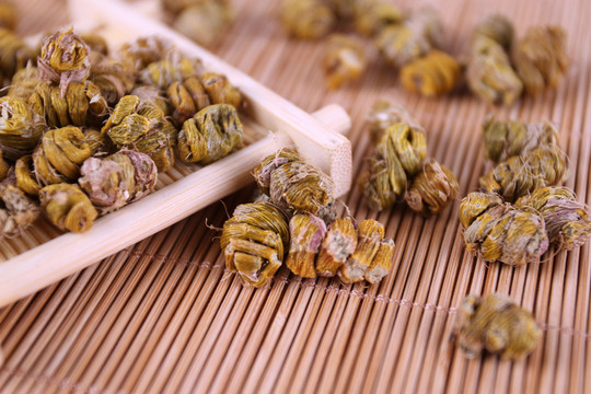 鐵皮石斛