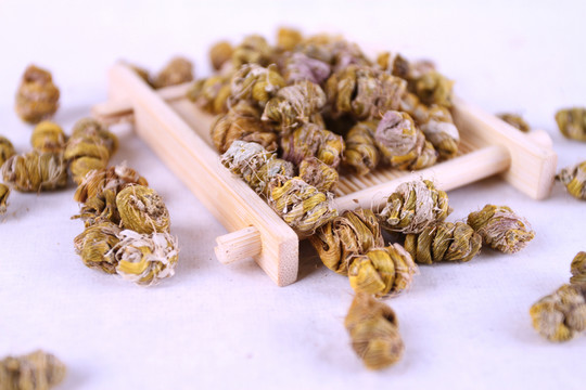 鐵皮石斛