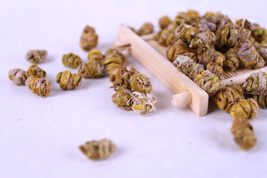 鐵皮石斛