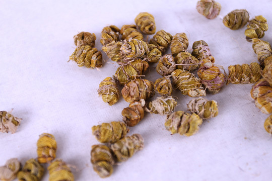 鐵皮石斛