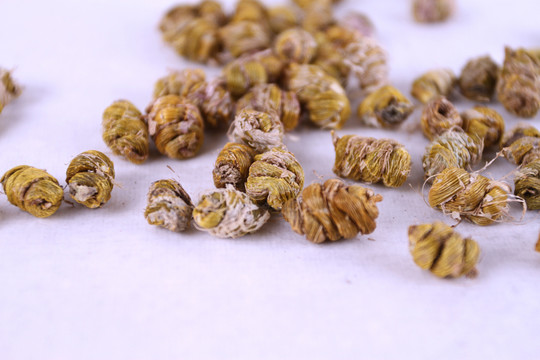 鐵皮石斛