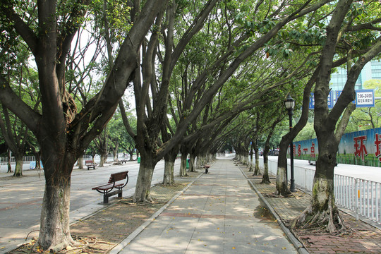 公園路徑